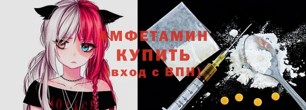 шишки Магас
