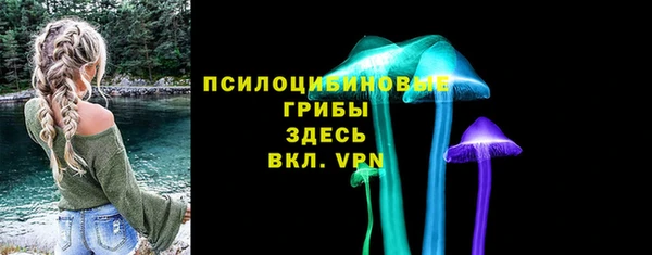 шишки Магас