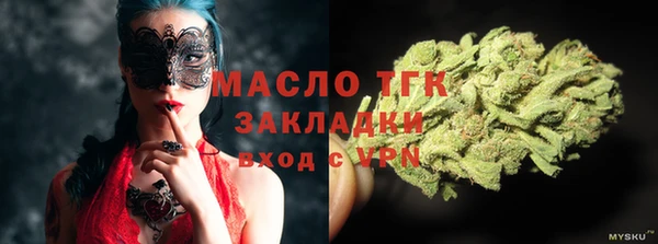 шишки Магас