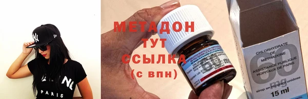 шишки Магас