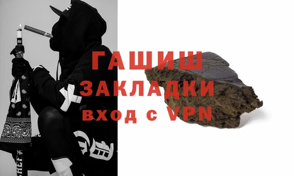 шишки Магас