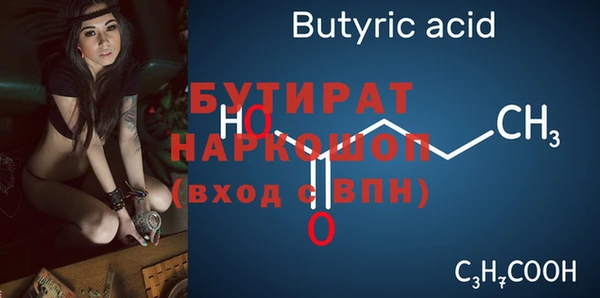 шишки Магас