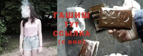 шишки Магас