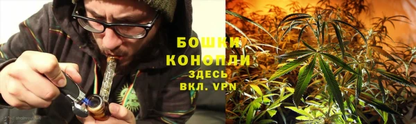 шишки Магас