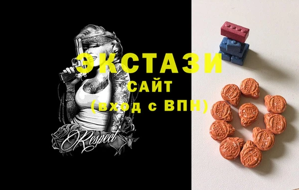 шишки Магас