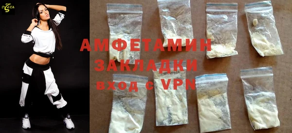шишки Магас
